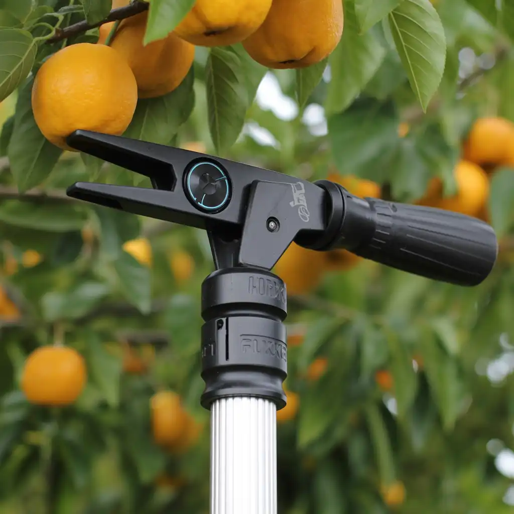 Veilig en efficiënt fruit plukken: tips voor het gebruik van je fruitplukker